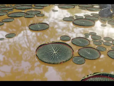 low poly lily pad  Free low-poly 3D model