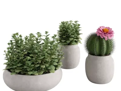 Set Ronan Ficonstone Indoor vs Outdoor Planters small 3D model