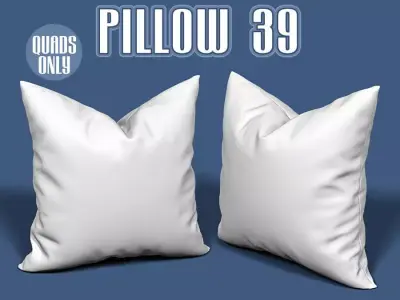 Pillow 39 3D model