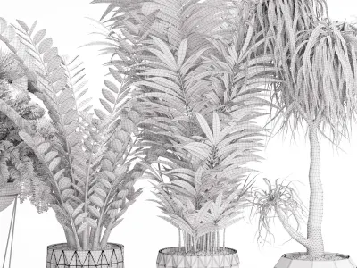 Houseplant 27 3D model