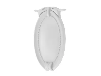 Cartouche Ornament 012 3D model