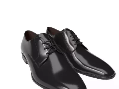 Formula Shoe Low-poly 3D model