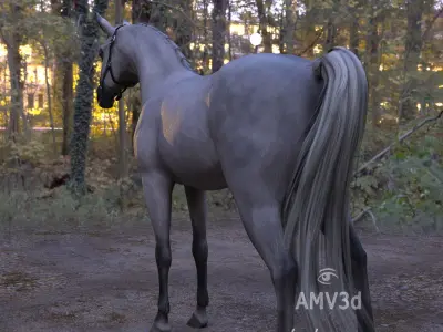 Polish Horses - Arabian Extended License Low-poly 3D model