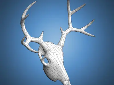 Deer Skull Base Mesh Low-poly 3D model