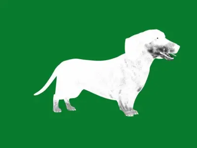 Wiener Dog Low-poly 3D model