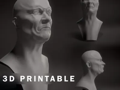 Angry Man 3D print model