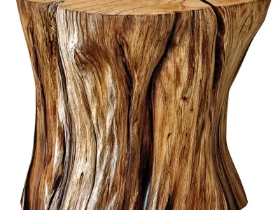 Rustic Wooden side table tree stump Coffee Side Table Sculptural 3D model