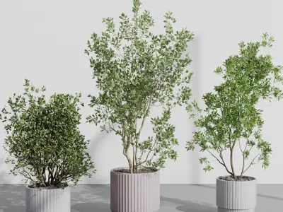 A Collection Trees in a concrete dirty vase - indoor plant 395 Low-poly 3D model