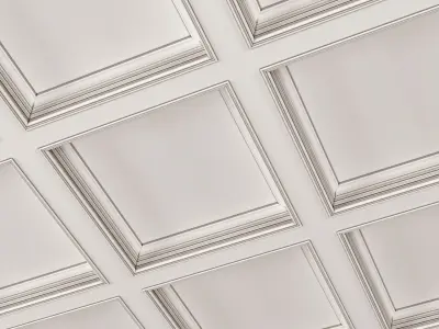 Modern coffered ceiling 3D model