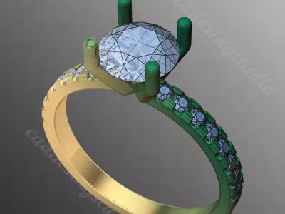 Ring ri245 3D print model