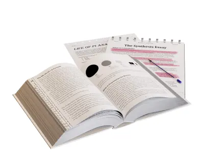 Working place decoration set 3D model