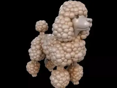Cauliflower Textured Poodle 3D print model
