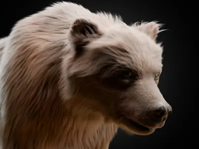 Brown Bear Animated and Rigged 3D model