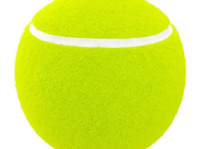 Tenis Ball 3D model buy