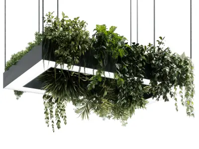 Rectangle pot light pendant - plant light hanging 27 CORONA 3D model