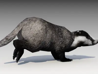Badger Low-poly 3D model