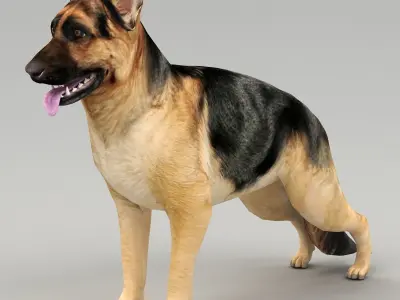 GSD DOG  Low-poly 3D model