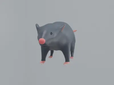 The  little Rat 3D model