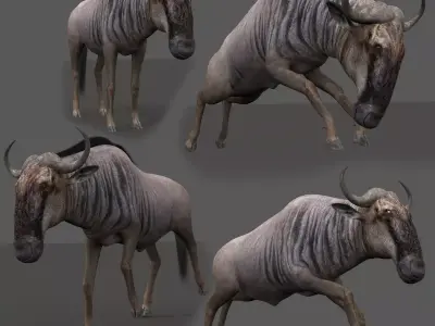 Wildebeest PRO Low-poly 3D model