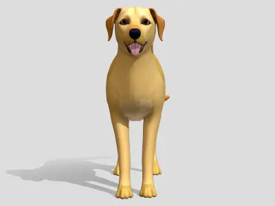 Cartoon Dog - Labrador Low-poly 3D model