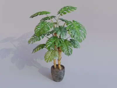 Monstera Plant with Plant Pot Low-poly 3D model