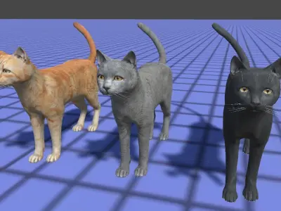 Cat pack 1 Low-poly 3D model
