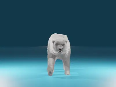 Polar Bear 3D model