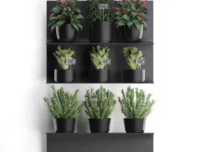 Plant set wall decor vertical garden 51 3D model