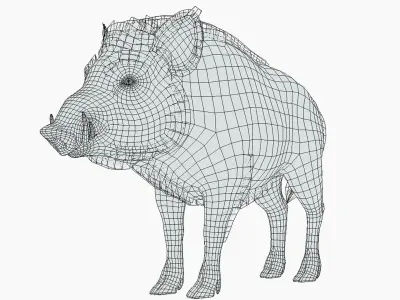 Wild Boar - Male Low-poly 3D model