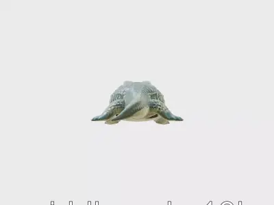 Realistic Crocodile 3D Model Sculpture Low-poly 3D model