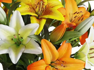 Flower Set 16 - Multicolor Lilies Bouquet 3D model