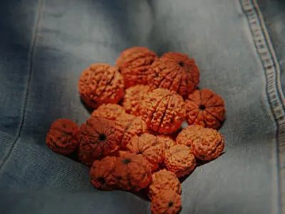 Rudraksha Beads Low-poly 3D model