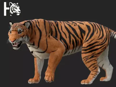 Tiger 3D model