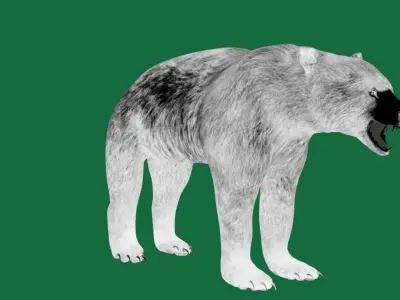 American Black Bear Low-poly 3D model