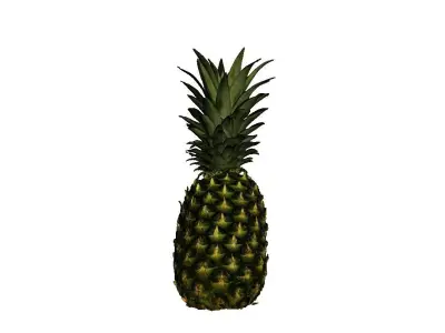 Pineapple Low-poly 3D model