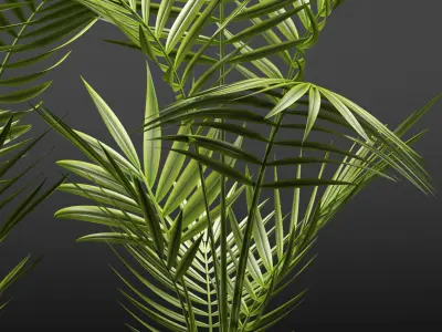 Plants 110 3D model
