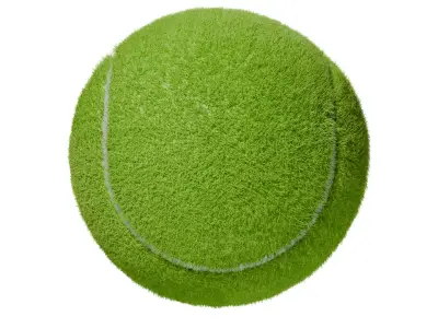 Tennis Ball Free 3D model