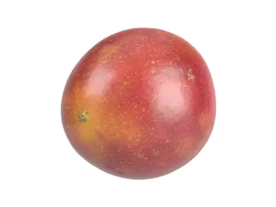 Photorealistic Passion Fruit 3D Scan 3 3D model