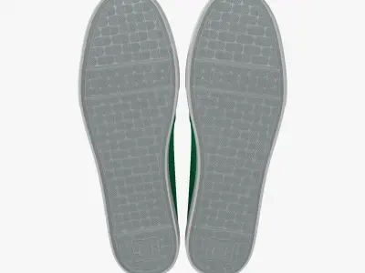 DC Shoes - Flash TX - Fern Low-poly 3D model