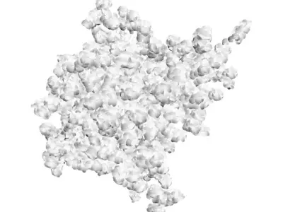 Young birch-tree in red pot 3D model