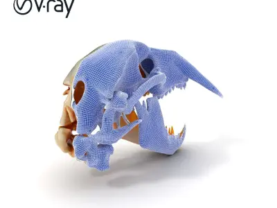 Detailed Animal Skull D Model Pack Low-poly 3D model