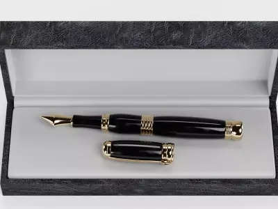 Luxury Fountain Pen in Box Low-poly 3D model