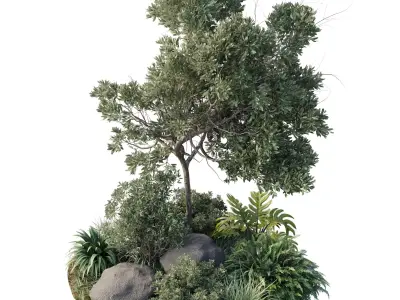 Collection outdoor indoor 118 pot palm tree the garden 3D model
