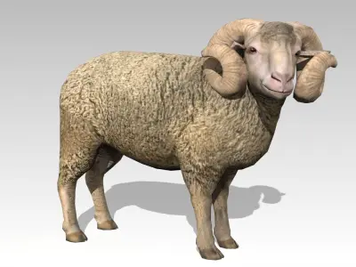 Ram Animated Low-poly 3D model