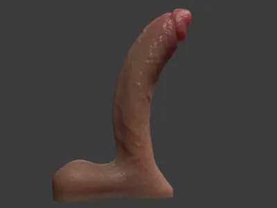 Silicone Penis Rigged Low-poly 3D model