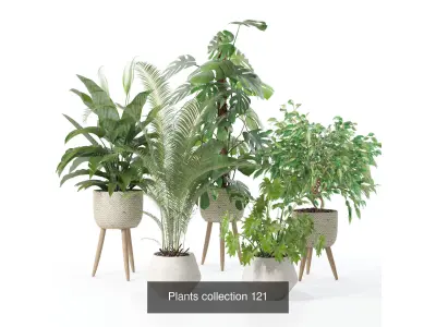 20 Photorealistic Flowers for Interiors - set 118- 121- 125- 128 3D Model Collection