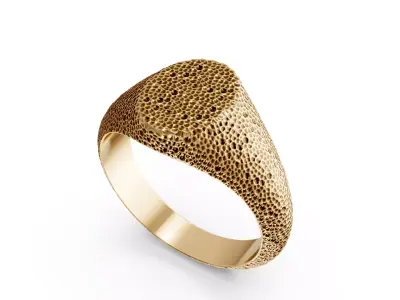 stone rock ring 3D print model