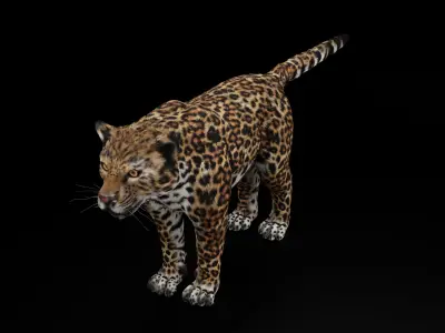 Jaguar  3D model Blender 3D model