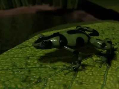 Grenouille-Frog frog on leaf 3D model