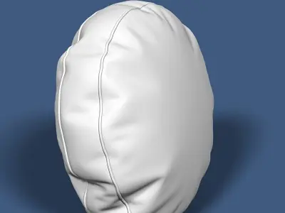 Pillow 41 3D model